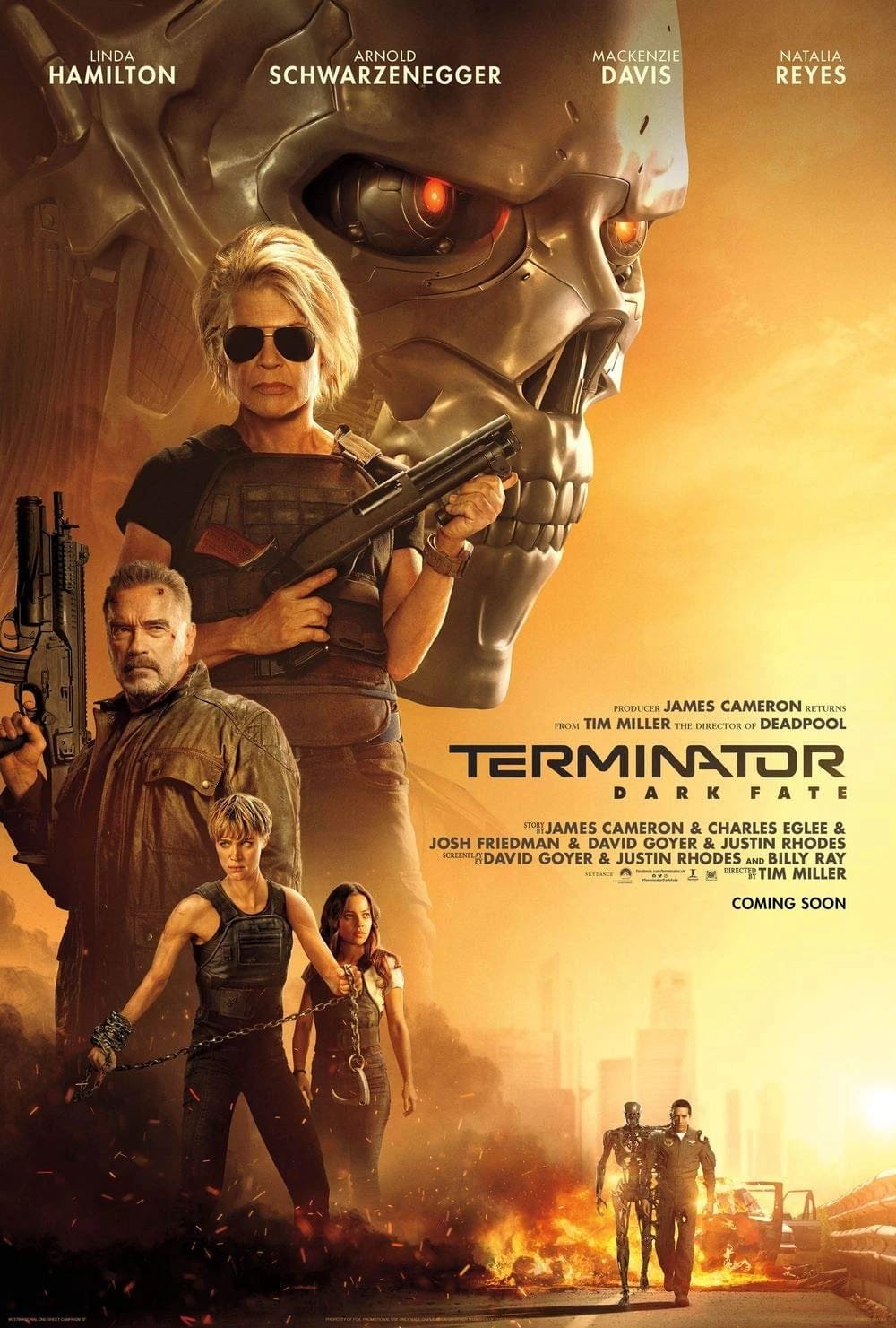 Terminator Destino Oscuro Linda Hamilton Arnold Schwarzenegger 2026